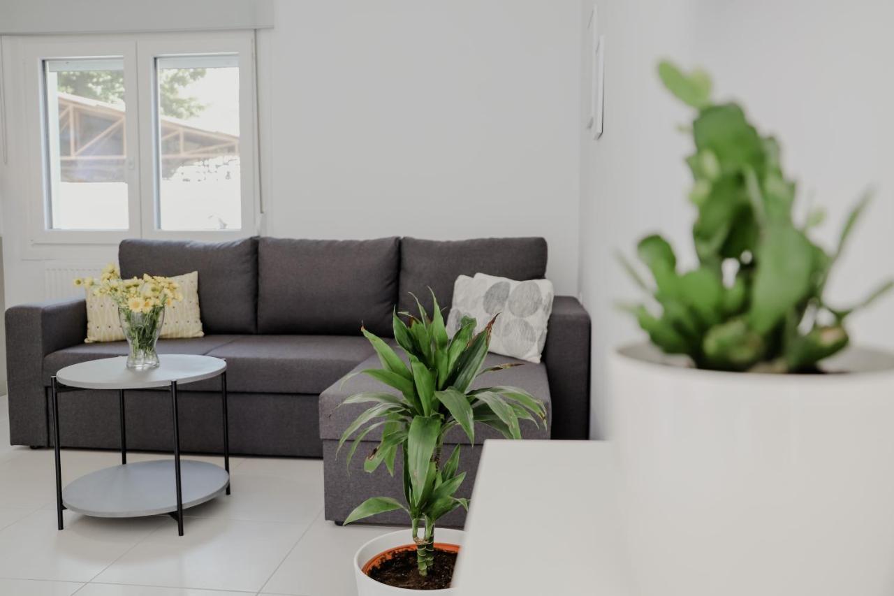 The Olive House Apartment Nea Peramos  Exterior photo
